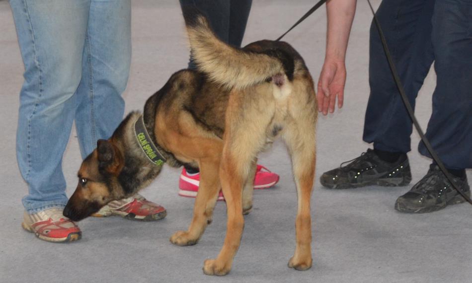 2016-8-25-1140foto 3.jpg